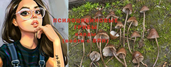 mdpv Алзамай