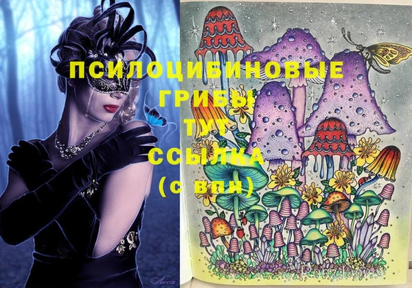 соль ск Абаза