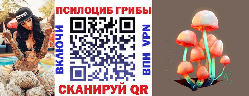 закладка kraken зеркало Галлюциногенные грибы Magic Shrooms Зеленокумск